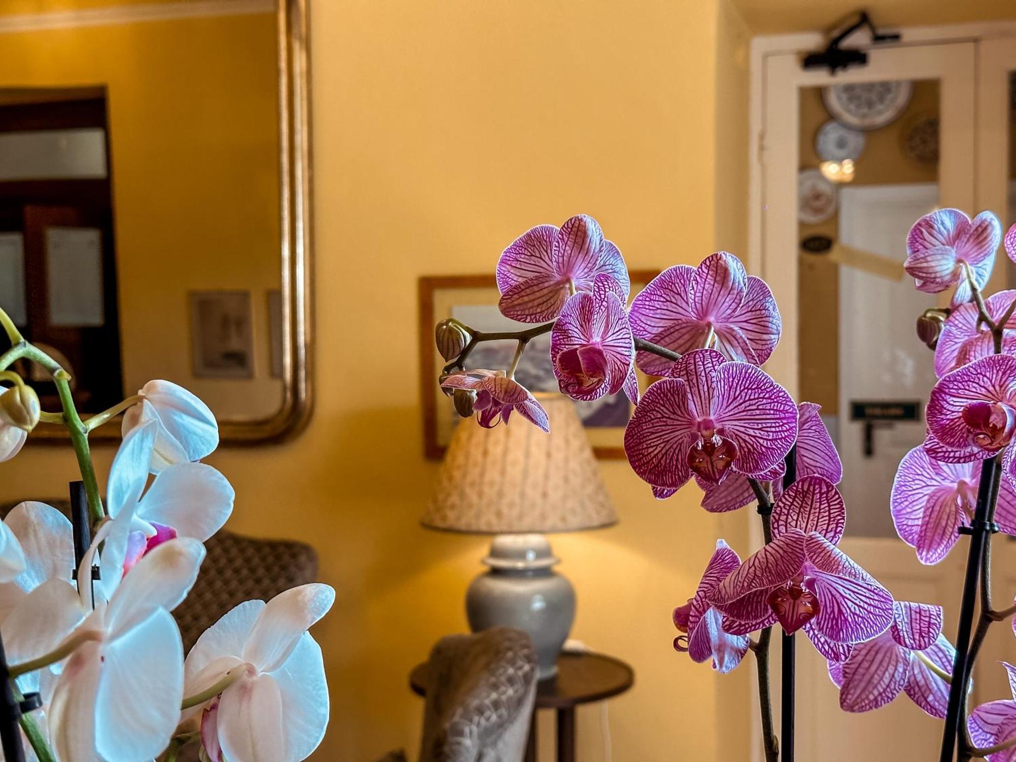 Hotel Villa Anita Santa Margherita Ligure Eksteriør bilde